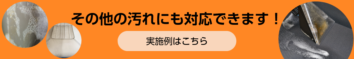 その他の汚れにも対応できます！実施例はこちら